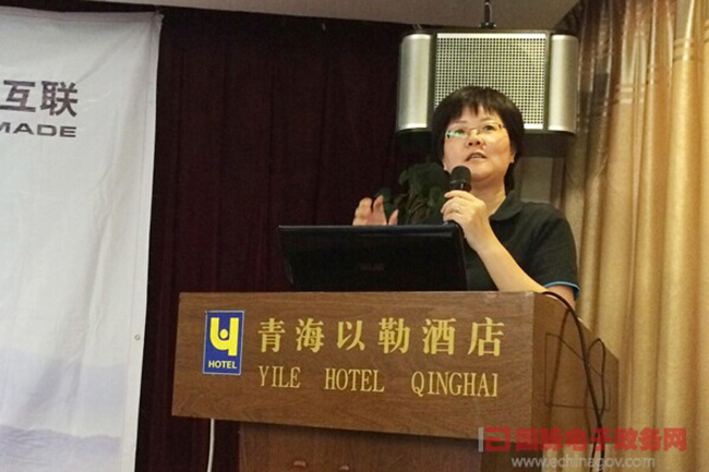 88858cc永利官网互联总经理、首席规划师郑爱军正在进行《政府网站+评估体系构建思路》的主题演讲