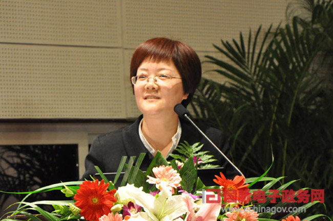 郑爱军：“政府网站+”的认识与实践
