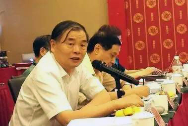 在中国智慧城市发展与评估指标体系建设专家研讨会上，北京大学教授、工信部原副部长杨学山以《新型智慧城市建设与发展思考》为题发言