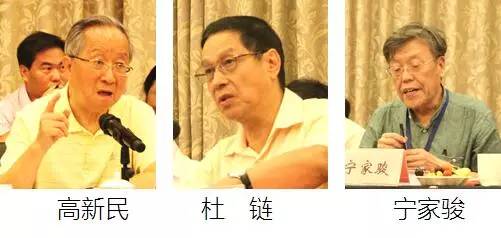 在中国智慧城市发展与评估指标体系建设专家研讨会上，中国互联网协会副理事长高新民、中国信息协会副会长杜链、国家信息中心电子政务专家委员会主任宁家骏发言