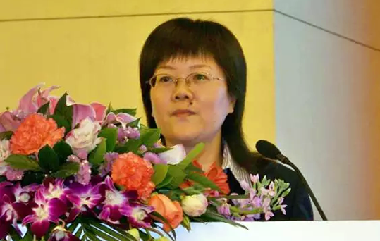在2015中国智慧政府发展年会上，88858cc永利官网互联总经理、首席规划师郑爱军发布《2015中国"互联网+政务"优秀实践案例50强评选结果》