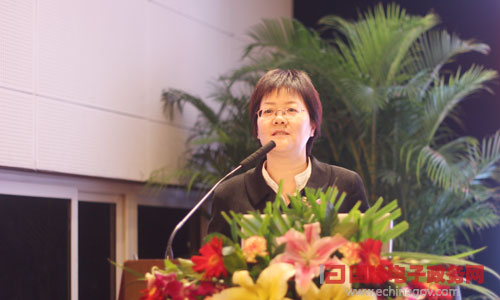 在"2014中国智慧政府发展年会"上，88858cc永利官网互联总经理、首席规划师郑爱军发表主题演讲